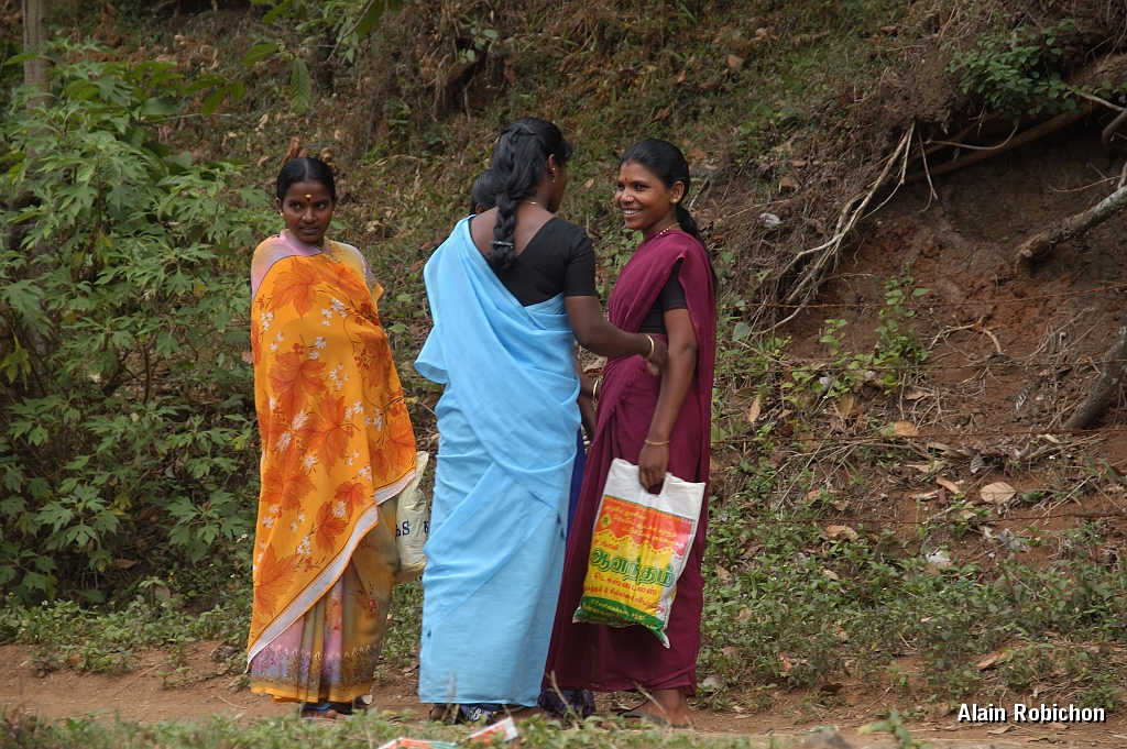 inde20060130001.jpg