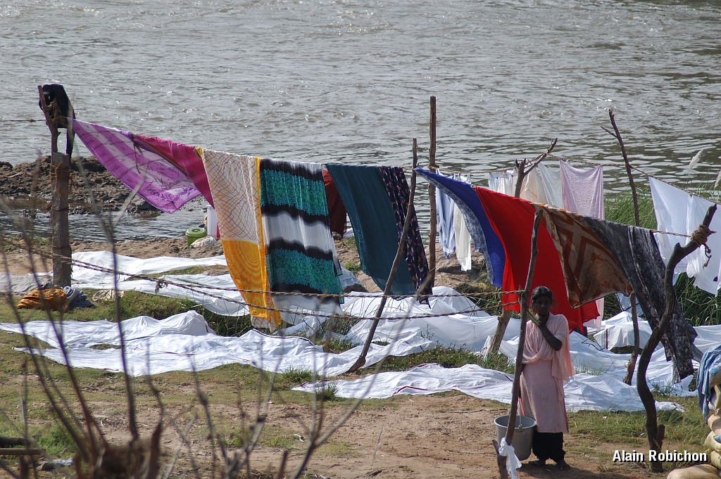 inde20060130005.jpg