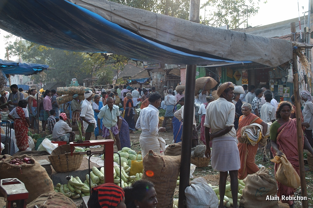 inde20060131002.jpg