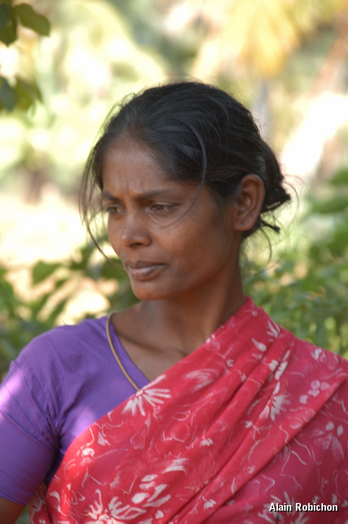 inde20060131016.jpg