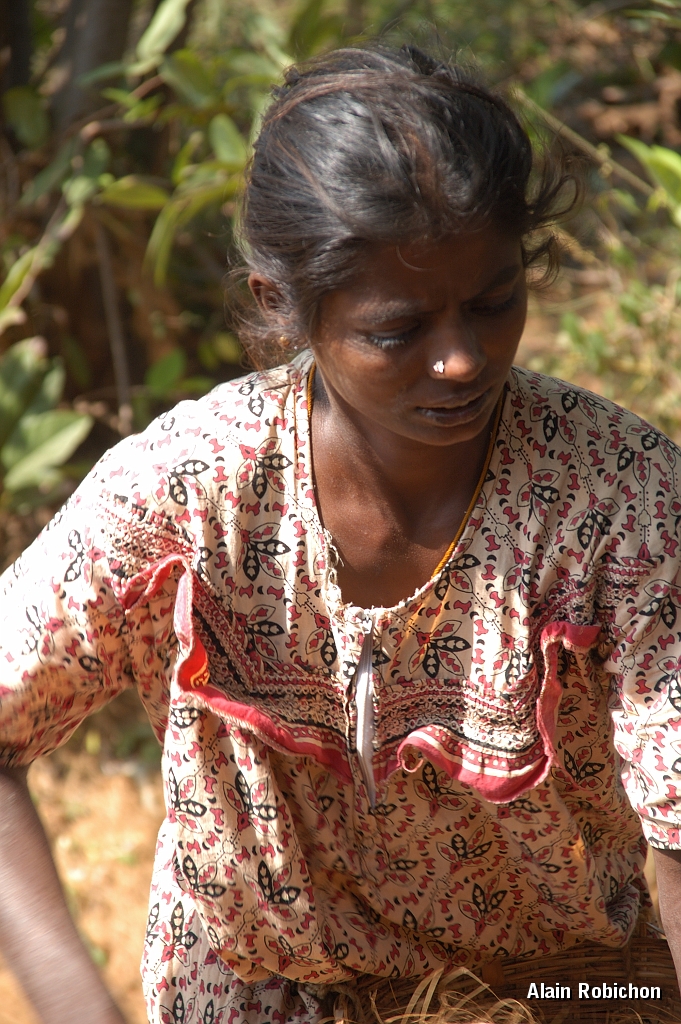 inde20060131017.jpg