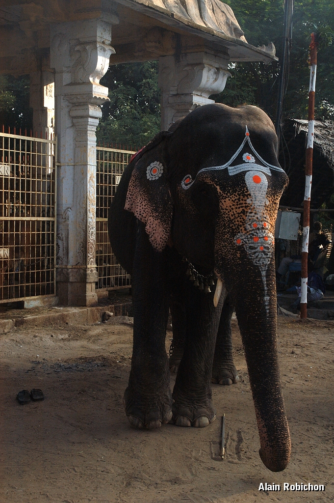 inde20060201001.jpg