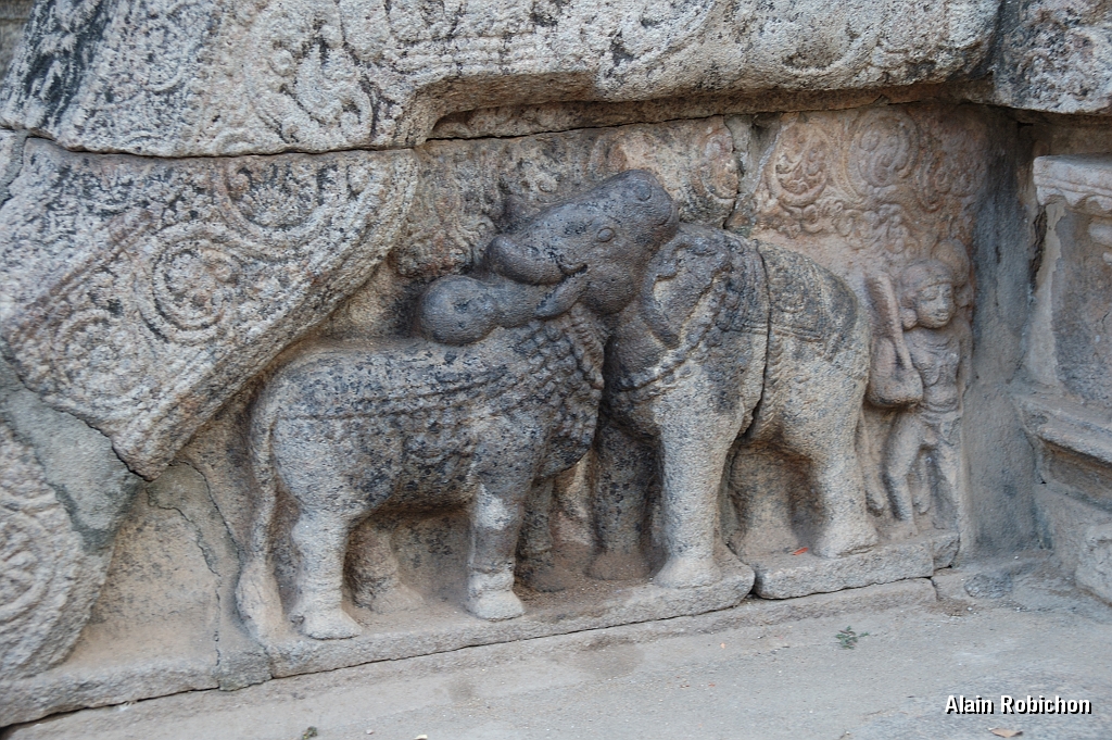 inde20060202013.jpg