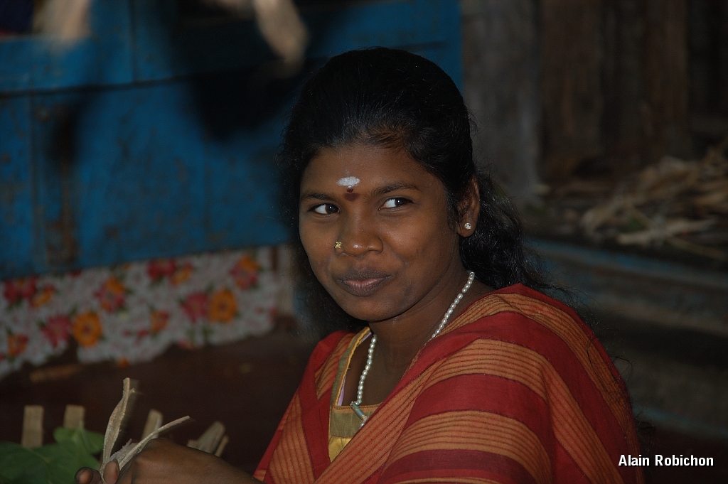 inde20060203009.jpg