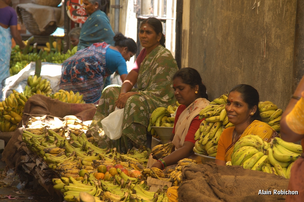 inde20060203011.jpg