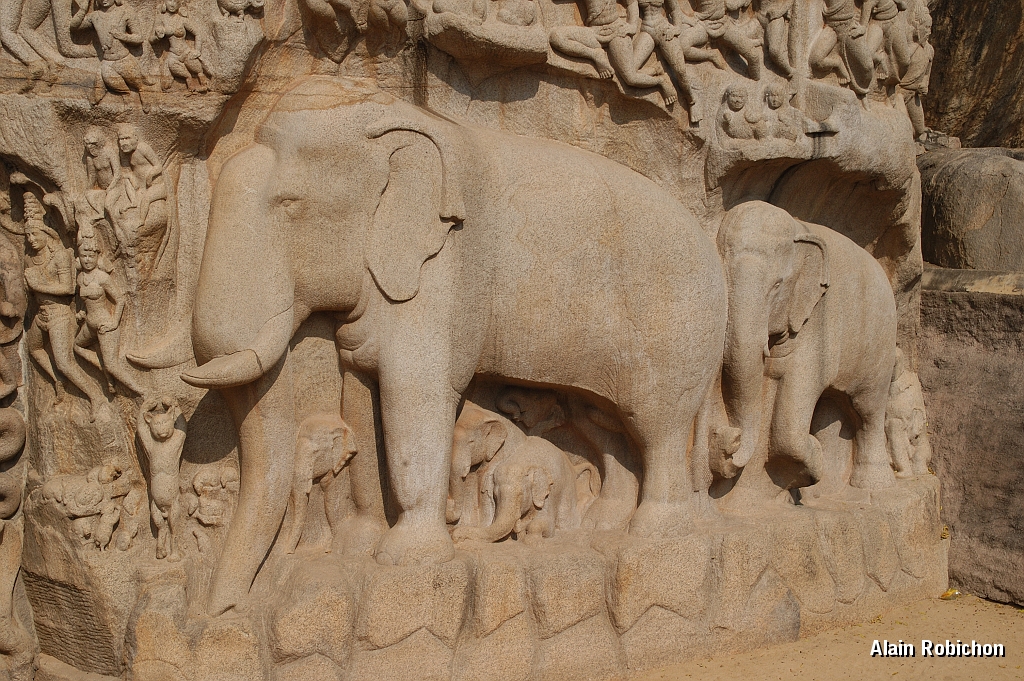 inde20060204012.jpg