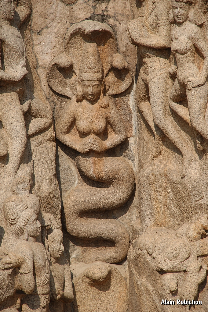 inde20060204017.jpg