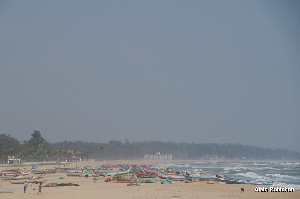inde20060204018.jpg