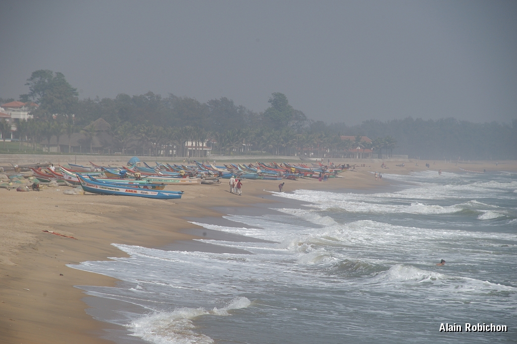 inde20060204025.jpg