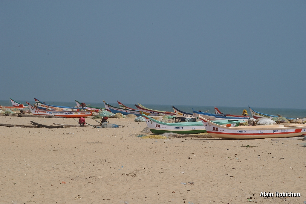 inde20060204028.jpg