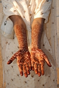 inde20060123012