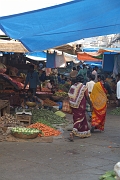 inde20060124006