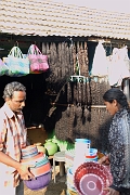 inde20060124008