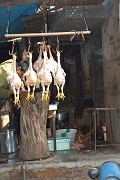 inde20060124015