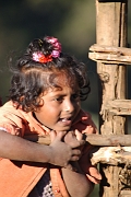 inde20060125018