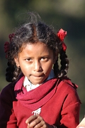 inde20060125019