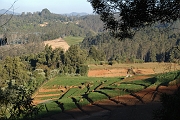 inde20060125021