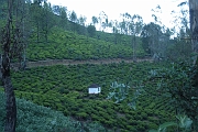 inde20060125022
