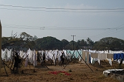 inde20060128001