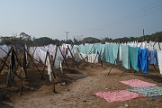 inde20060128004