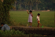 inde20060128018