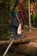 inde20060128022