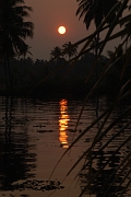 inde20060128025