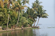 inde20060129004