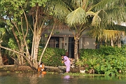 inde20060129006