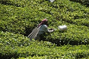 inde20060129014