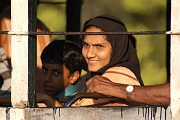 inde20060129024