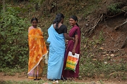 inde20060130001