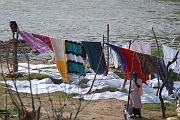inde20060130005
