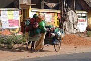 inde20060130006