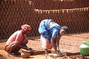inde20060130008