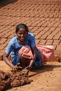 inde20060130009