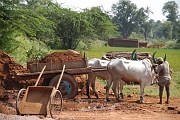inde20060130010