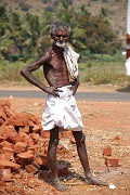 inde20060130011
