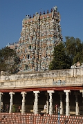 inde20060130029
