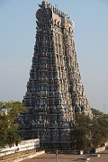 inde20060130035