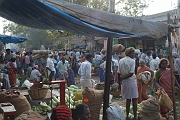 inde20060131002