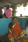 inde20060131003
