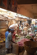 inde20060131004