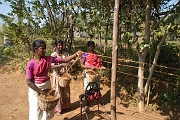 inde20060131015