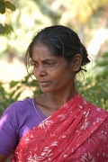 inde20060131016