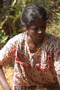 inde20060131017