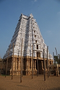 inde20060131043
