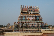 inde20060131049