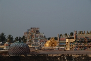 inde20060131050