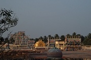 inde20060131052